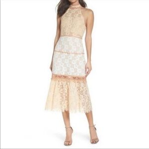 NWT Foxiedox Amelia Lacey Midi Cocktail Dress in Blush | XS | NWT
